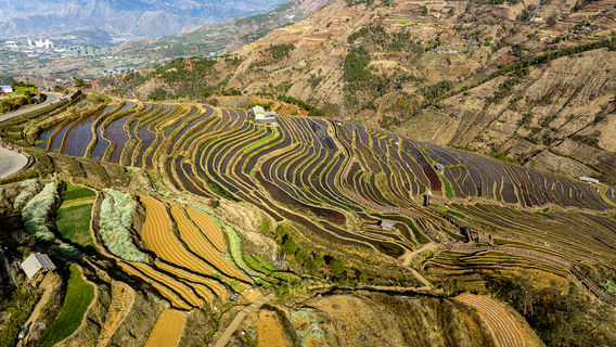 Miyi Lisu Terraced Fields Scenic Area