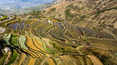 Miyi Lisu Terraced Fields Scenic Area