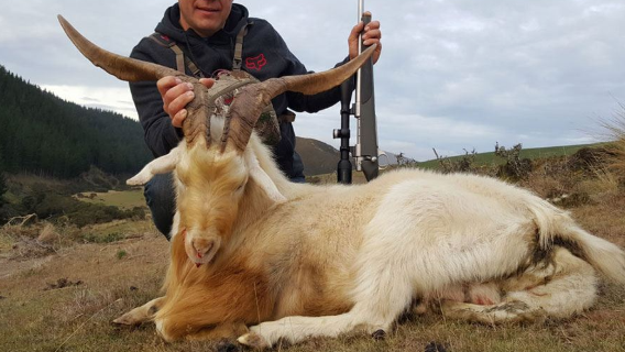 Shotting Tranning Playground