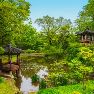 창덕궁 후원