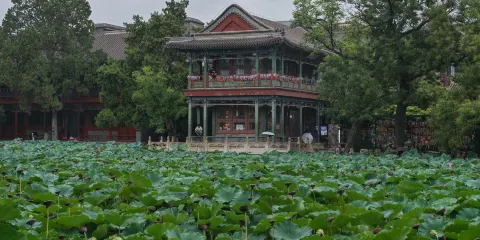 蓮池博物館門票成人