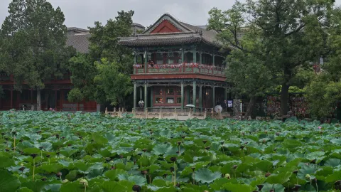 蓮池博物館 attraction in 保定
