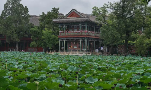 Lianchi Academy Museum (Ancient Lotus Pond)