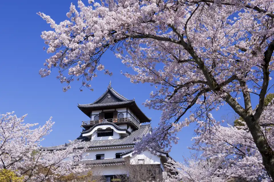 4_犬山城