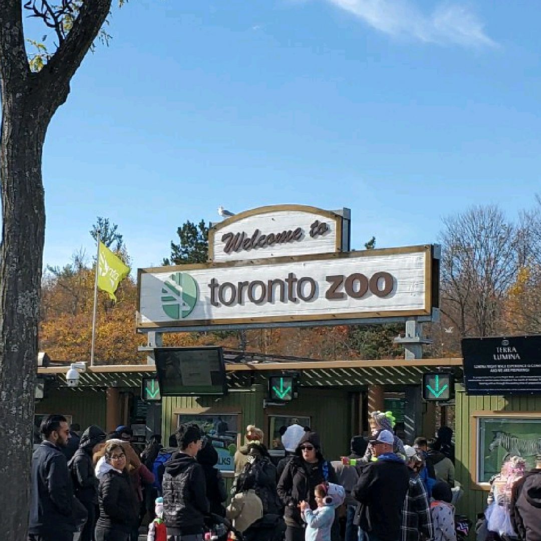 October ~ April is the zoo off-season no animal photography, but if the photography 🍁 is the most beautiful
#It's time to go out and enjoy the flowers