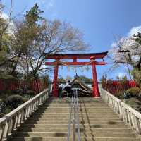 春の高尾山