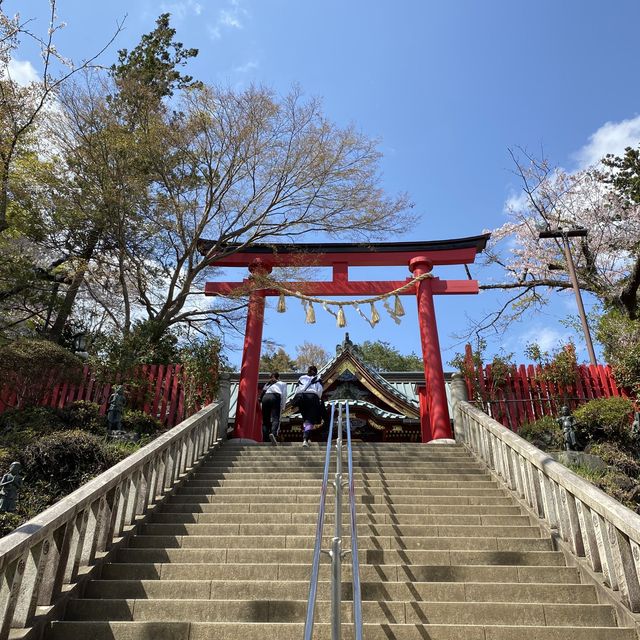 春の高尾山