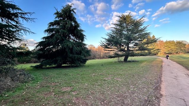 Vassall's Park (Oldbury Court Estate)