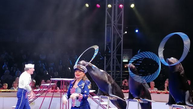 Dresdner Weihnachts-Circus