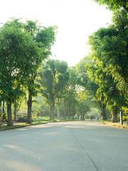 駒澤奧林匹克公園