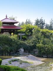 Цзинаньский ботанический сад