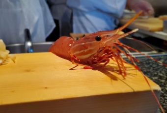 Shiro's Sushi User Photo