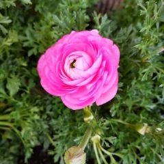 王老师咖啡烘焙室 User Photo