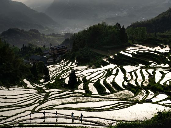 Dake Terraces