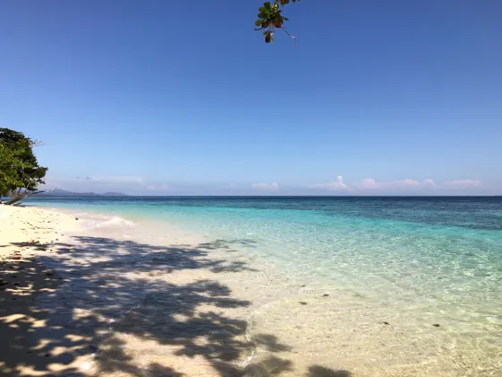 全日空 飛 普羅瑟派恩