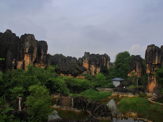 杏林大觀園