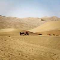 Glamping in the Gobi Desert