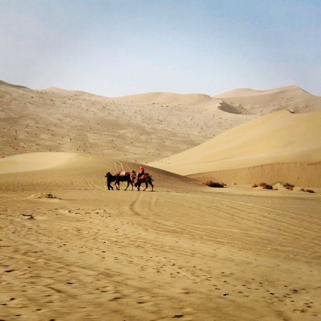 Glamping in the Gobi Desert