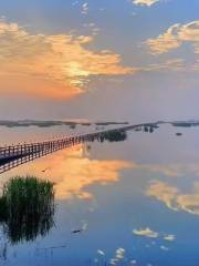 Wucheng Migratory Bird Town, Poyang Lake