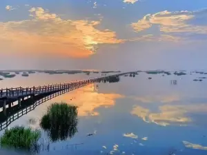 Wucheng Migratory Bird Town, Poyang Lake