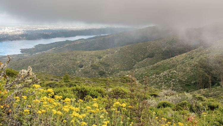Compare 5 airports near San Bruno