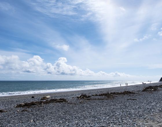 哈斯特 自由行套票