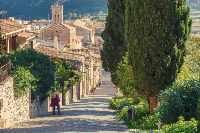 Comitas Tramontana Park