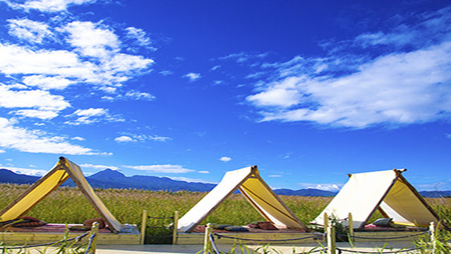 Lashi Lake Wetland. Migratory Bird Bay