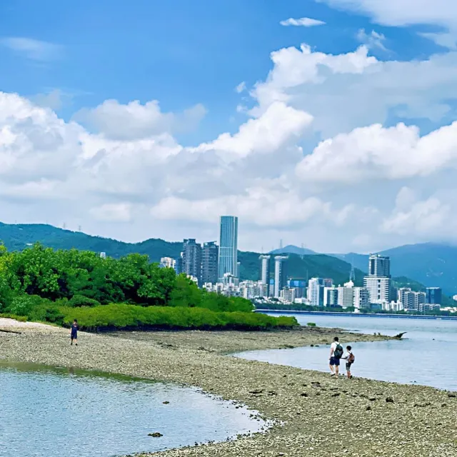 粉嶺鹿頸海邊淺灘與紅樹林