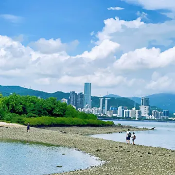 【2026芒草季節】最新14大賞芒草景點🌾,秋冬芒草行山路線推薦