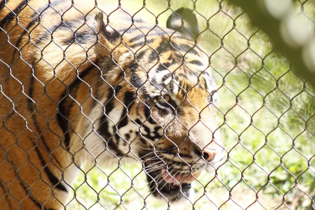 Отели с услугой Номер с балконом в г. Исламабад