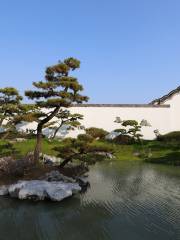 Bonsai Garden