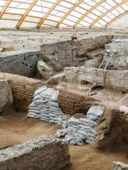 Çatal Höyük