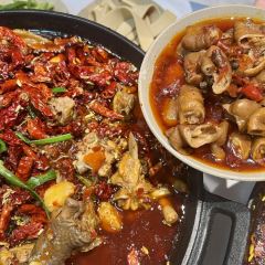 烧鸡公 User Photo