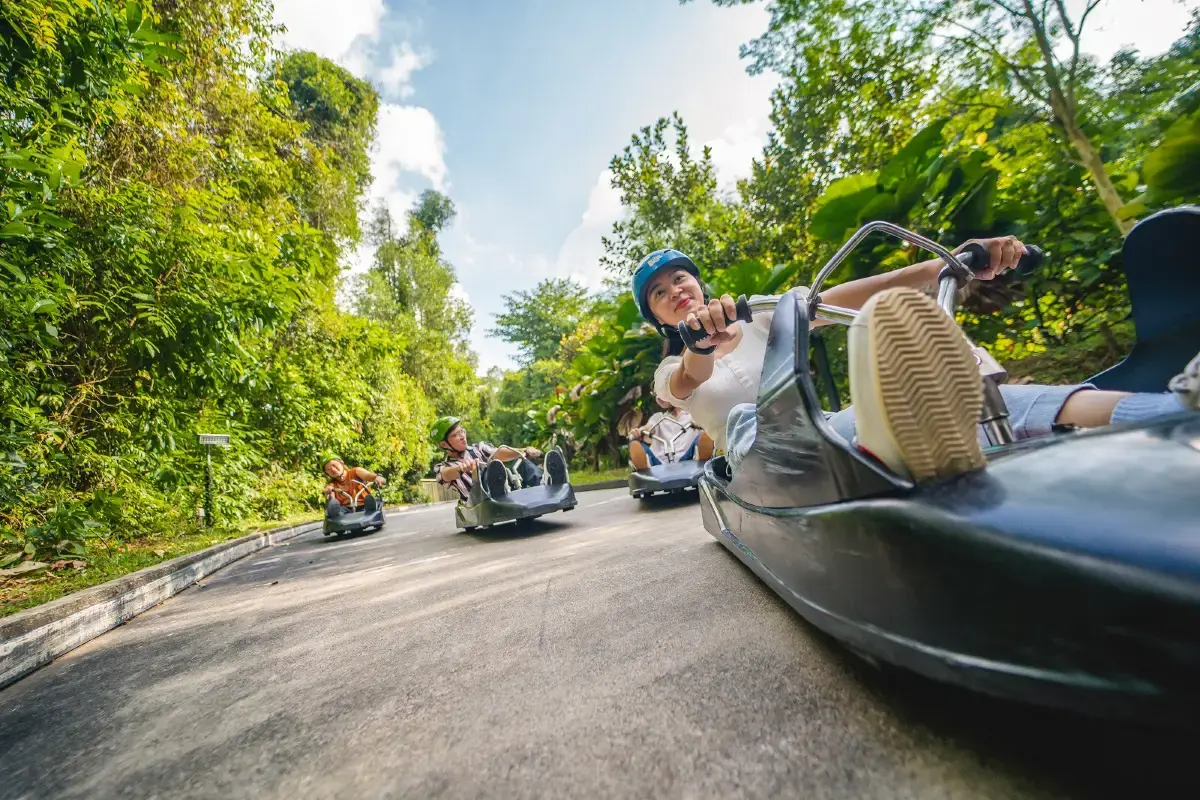 Best Time to Visit Skyline Luge