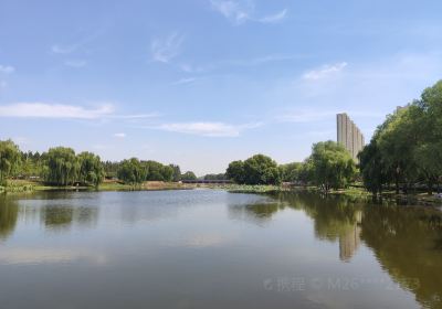 雞龍河城市濕地公園