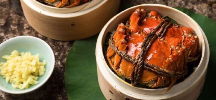 Xiecuncaotang·yangchenghulaozihaonongjiale·dazhaxie