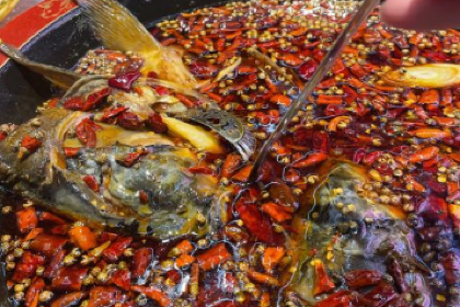 蛙小妹美蛙鱼头(龙珠路店)