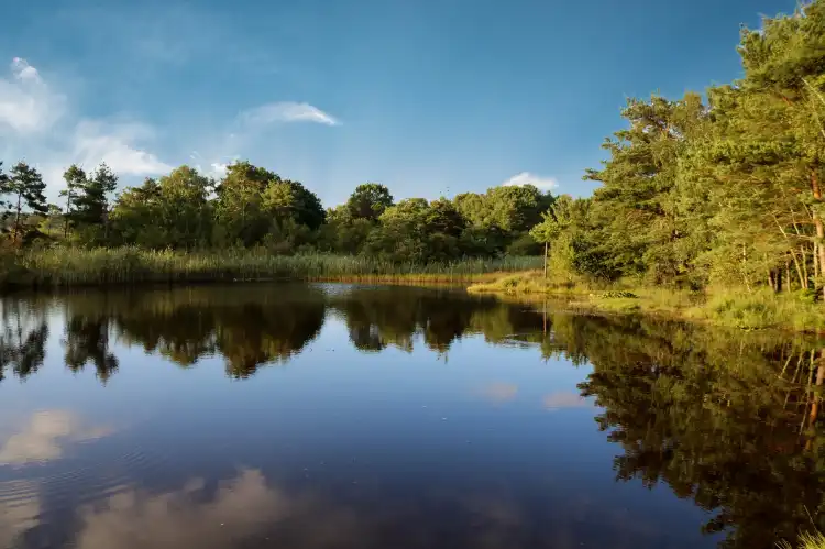 Hotels in Lytchett Minster and Upton