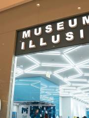 Museum of Illusions