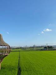 東城周屋稻田畫