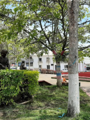 Panela Park