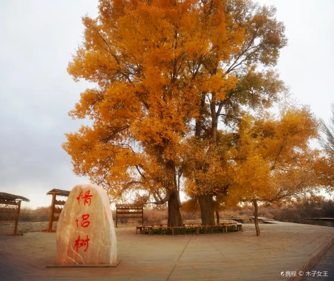 Отели рядом с достопримечательностью «Lovers’ Populus Euphratica Trees»