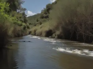 Bíobío River