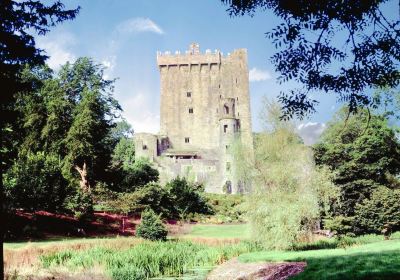 Blarney Castle & Gardens