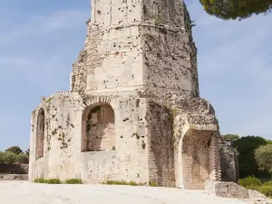 Tour Magne