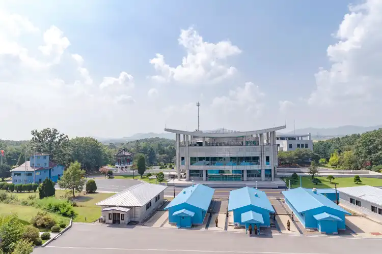 Paju