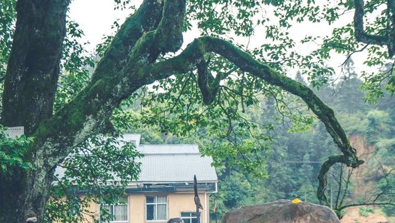 Taininghongjun Street