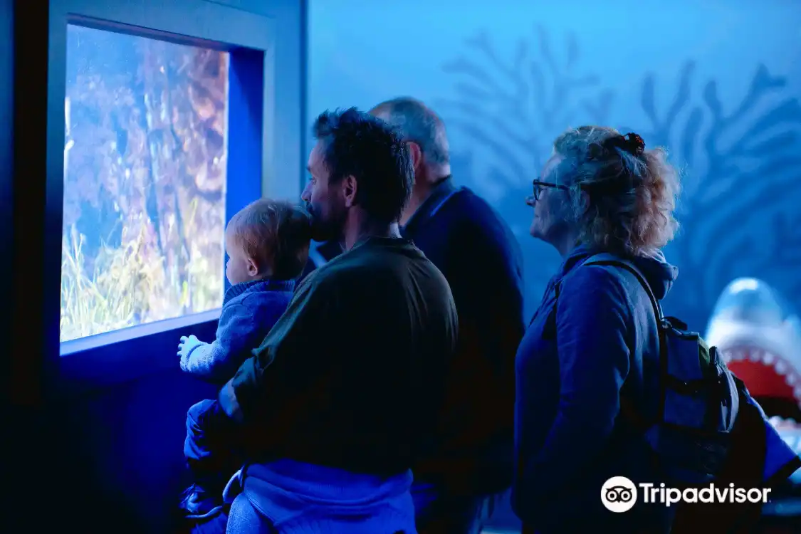 Hotels in der Nähe von Vannes Aquarium