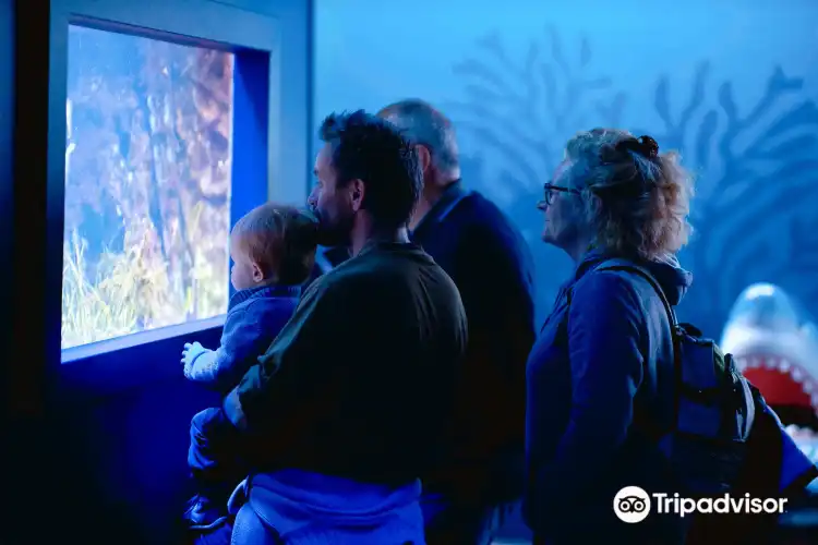 Các khách sạn gần Vannes Aquarium